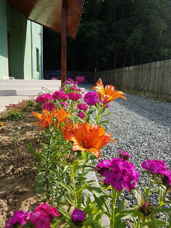 Agropensiunea Cetatuia Luncavita Exterior foto