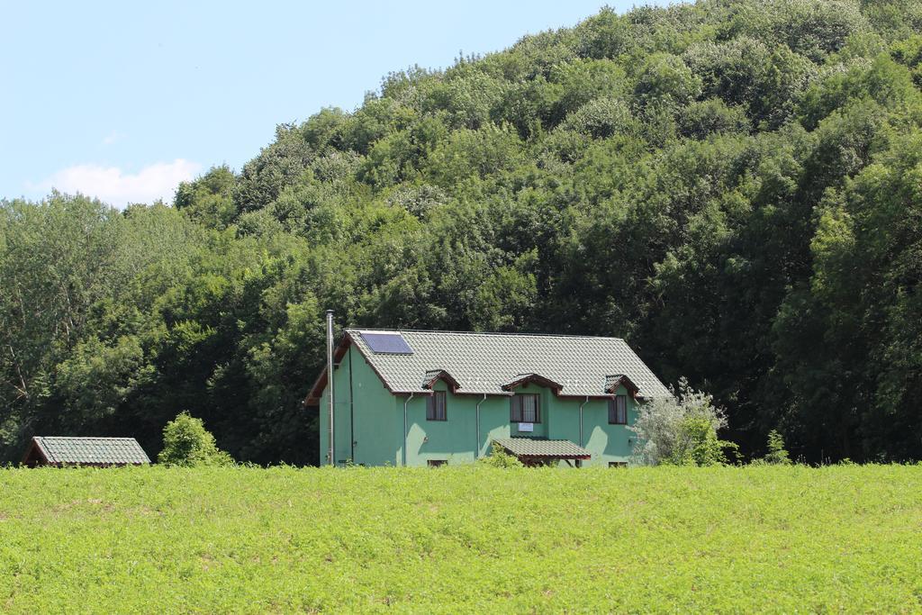 Agropensiunea Cetatuia Luncavita Exterior foto